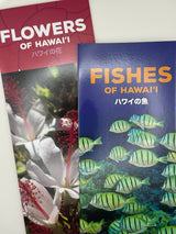 Fish and Flowers of Hawaii